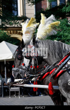 Antike Pferdekutschen rund um den Marktplatz der Altstadt Krakaus, Kleinpolen, Polen, Europa Stockfoto