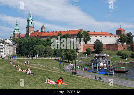 Ausgrabungen an der alten orthodoxen jüdischen Synagoge im Stadtteil Kazimierz. Krakau, Kleinpolen, Polen, Europa Stockfoto