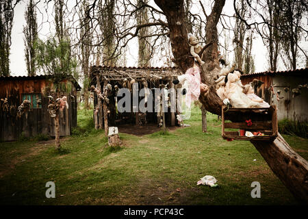 Puppen von La Isla de las Muñecas - Die Insel der Puppen, Xochimilco Mexiko Stockfoto