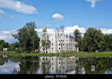 Luxus Hotel Schloss karpniki, karpniki (ehemalige Fischbach), Niederschlesien, Polen, Europa Stockfoto