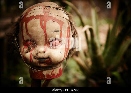 Puppen von La Isla de las Muñecas - Die Insel der Puppen, Xochimilco Mexiko Stockfoto