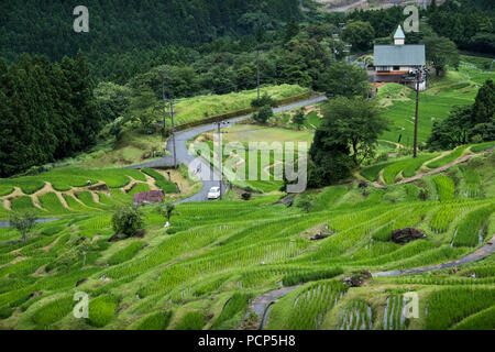 Maruyama Senmaida Reisterrassen im zentralen Teil von Japan. Stockfoto