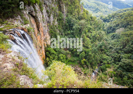 Die majestätischen und ikonischen Purling Bach fällt an einem warmen Herbsttag im Springbrook National Park in der Nähe der Gold Coast, Queensland, Australien Stockfoto