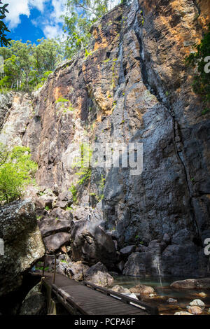 Die majestätischen und ikonischen Purling Bach fällt an einem warmen Herbsttag im Springbrook National Park in der Nähe der Gold Coast, Queensland, Australien Stockfoto