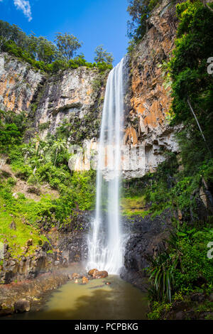 Die majestätischen und ikonischen Purling Bach fällt an einem warmen Herbsttag im Springbrook National Park in der Nähe der Gold Coast, Queensland, Australien Stockfoto