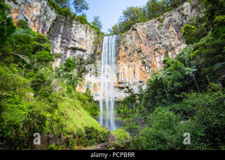 Die majestätischen und ikonischen Purling Bach fällt an einem warmen Herbsttag im Springbrook National Park in der Nähe der Gold Coast, Queensland, Australien Stockfoto