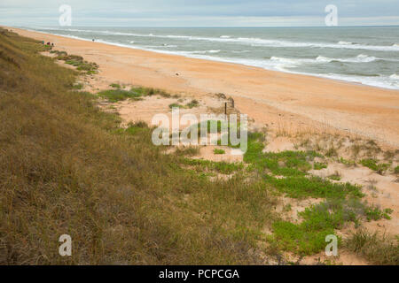 Strand geöffnet, Guana Tolomato Matanzas National Mündungs- Forschung finden, Florida Stockfoto