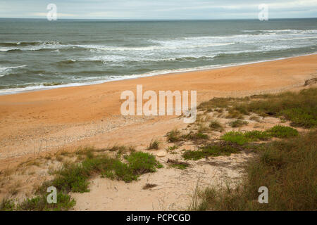 Strand geöffnet, Guana Tolomato Matanzas National Mündungs- Forschung finden, Florida Stockfoto