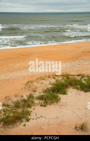 Strand geöffnet, Guana Tolomato Matanzas National Mündungs- Forschung finden, Florida Stockfoto