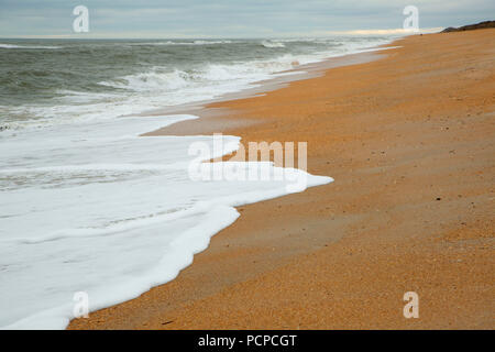 Strand geöffnet, Guana Tolomato Matanzas National Mündungs- Forschung finden, Florida Stockfoto