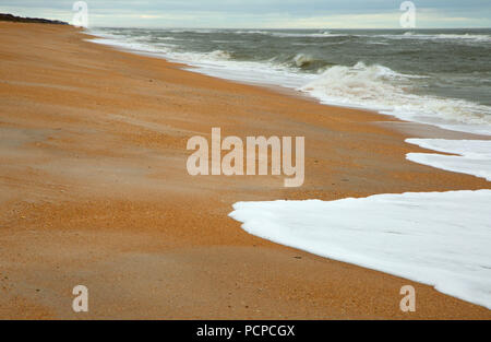 Strand geöffnet, Guana Tolomato Matanzas National Mündungs- Forschung finden, Florida Stockfoto