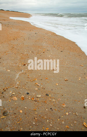 Strand geöffnet, Guana Tolomato Matanzas National Mündungs- Forschung finden, Florida Stockfoto