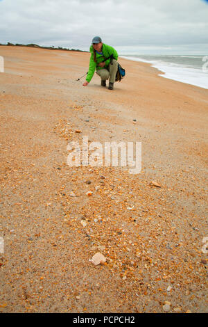 Strand geöffnet, Guana Tolomato Matanzas National Mündungs- Forschung finden, Florida Stockfoto