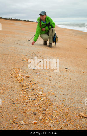 Strand geöffnet, Guana Tolomato Matanzas National Mündungs- Forschung finden, Florida Stockfoto