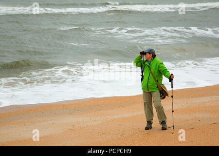 Strand geöffnet, Guana Tolomato Matanzas National Mündungs- Forschung finden, Florida Stockfoto