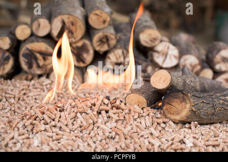 Stapel der Eiche pellets und Holz in Brand Stockfoto