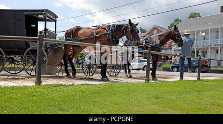 Ein Amish Mann sitzt neben seinem Pferd und Wagen gegenüber dem Ende der Commons General Store in Mesopotamien, Ohio. Stockfoto