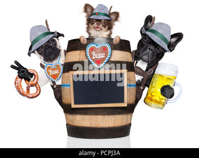 Gruppe oder Team der Bayerischen deutsche Hunde mit Lebkuchen und Hut, hinter Barrel, auf weißem Hintergrund, bereit für das Bier Feier festiv Stockfoto