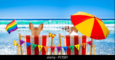 Gay paar Hunde ausruhen und entspannen auf einer Hängematte oder Liegestuhl unter dem Sonnenschirm am Strand Meer, Sommerurlaub, Urlaub nur verheiratet Stockfoto