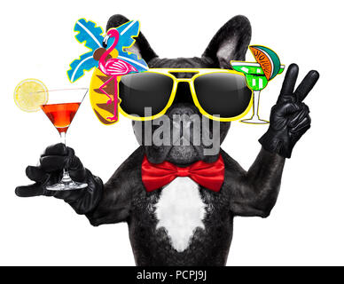 Französische Bulldogge Hund holding Martini Cocktail Glas bereit, Spaß und Party zu haben und betrinken, auf weißem Hintergrund Stockfoto