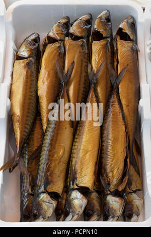 Frisch geräucherten Makrelen in einer Box zum Verkauf auf dem Markt Stockfoto