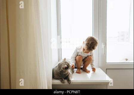 Süßes kleines Kind mit grauen Britisch Kurzhaar Katze sitzt auf der Fensterbank zu Hause Stockfoto