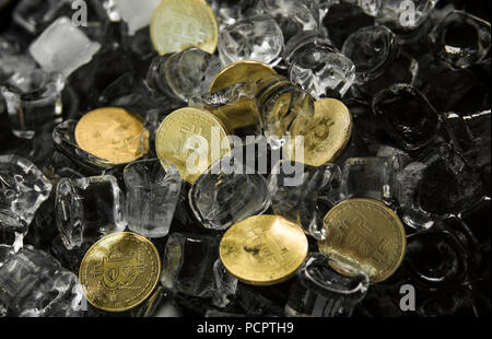 Viele gold bitcoin Münzen auf Eis Hintergrund. Einfrieren. Blockchain Bergbau. Digitales Geld und virtuelle cryptocurrency Konzept. Iinvestment. Bussiness, kommerzielle Stockfoto