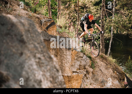 Junge Trial Biker Riding Downhill im Freien in einem Pinienwald Stockfoto