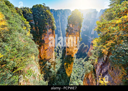 Natürlicher Quarz Sandstein Säule der Avatar Hallelujah Berg ist 1.080 Meter (3.540 ft) in der Zhangjiajie National Forest Park in Wulin Stockfoto