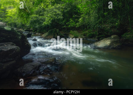 Csacade in Alfredo Chaves, Espirito Santo, Brasilien. Innerhalb der Brasilianischen Atlantischen Regenwald. Stockfoto