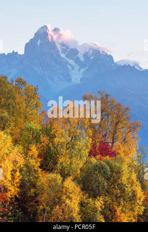 Herbst Landschaft. Top Ushba in Wolken. Birke Wald am Hang. Blick vom Mount Mkheer. Main kaukasischen Ridge. Zemo Swanetien, Georgien Stockfoto