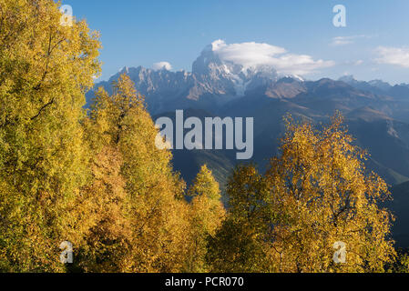 Herbst Landschaft. Top Ushba in Wolken. Birke Wald am Hang. Blick vom Mount Mkheer. Main kaukasischen Ridge. Zemo Swanetien, Georgia. Kunst processi Stockfoto