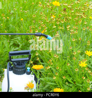 Spaying Blumen im Garten mit Wasser oder Pflanzenschutzmitteln wie Schädlingsbekämpfungsmittel gegen Krankheiten und Schädlinge Stockfoto
