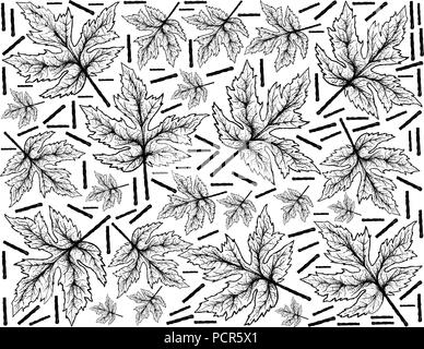 Herbst Baum, Illustration Wallpaper von Hand gezeichnet von schönen Maple Leaf isoliert auf weißem Hintergrund. Auch in Europa, Nordafrika und Stock Vektor