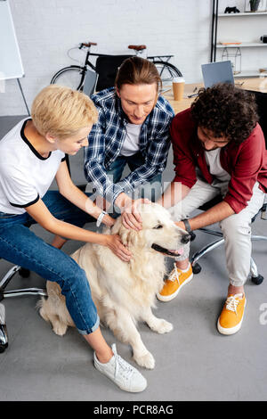 Hohe Betrachtungswinkel der jungen Menschen streicheln Hund im Büro Stockfoto