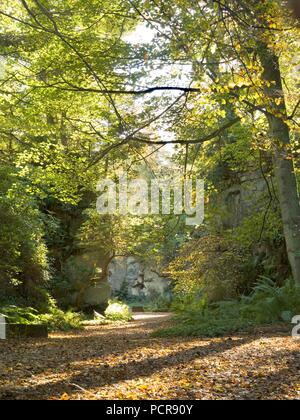 Steinbruch Garten Belsay Hall im Herbst, Northumberland, c 1980 - c 2017. Artist: Historische England Fotograf. Stockfoto