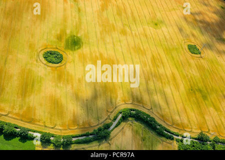 Kornfeld mit Bush Hecken in Form eines Gesichts, Landwirtschaft, Bad Oldesloe, Schleswig-Holstein, Deutschland Stockfoto