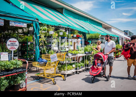 Jean Talon Markt den größten Bauern frische Markt produzieren, Montreal, Kanada Stockfoto