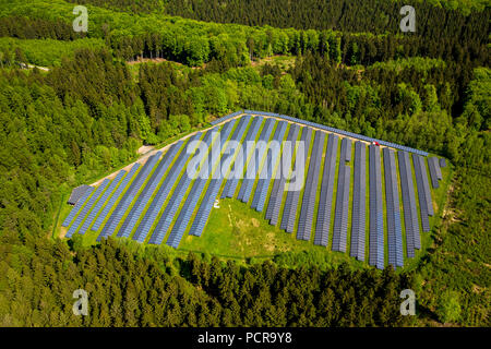 Solaranlage im Wald, Arnsberg-Holzen, Arnsberg, Sauerland, Arnsberg-Neheim, Nordrhein-Westfalen, Deutschland Stockfoto