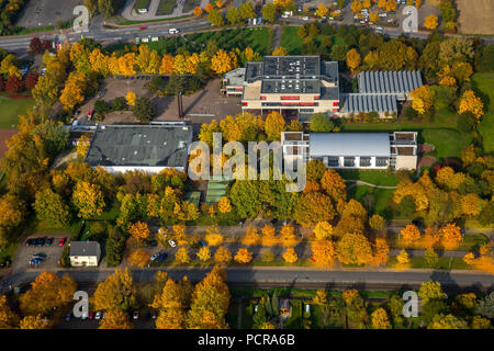Freiherr-vom-Stein-Gymnasium in Falllaub, Hamm, Ruhrgebiet, Nordrhein-Westfalen, Deutschland Stockfoto