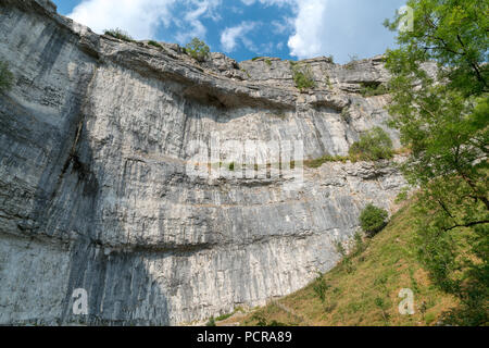 Blick auf die geschwungene Felsen in Malham Cove in den Yorkshire Dales National Park Stockfoto