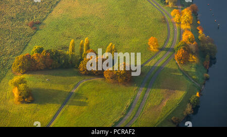 Laubbäume im Herbst, Alte Ruhr-Katzenstein, Witten, Ruhrgebiet, Nordrhein-Westfalen, Deutschland Stockfoto