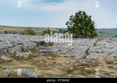 Blick auf die Kalkstein Pflaster über Malham Cove in den Yorkshire Dales National Park Stockfoto