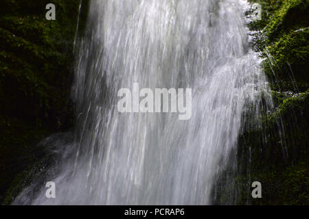 Dixon fällt in der Fundy National Park in New Brunswick, Kanada Stockfoto