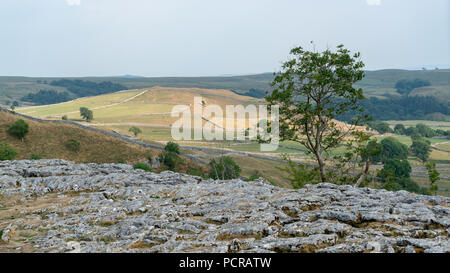 Blick auf die Kalkstein Pflaster über Malham Cove in den Yorkshire Dales National Park Stockfoto