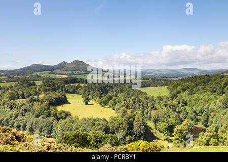 Scott's View". Scott's View ist ein herrlicher Aussichtspunkt mit Blick auf das Tal des Flusses Tweed in den schottischen Borders. Stockfoto