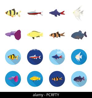 Botia, Clown, Piranha, cichlid, Kolibri, Guppy, Fische set Sammlung Icons im Cartoon, flacher Stil vektor Symbol lieferbar Abbildung: Stock Vektor
