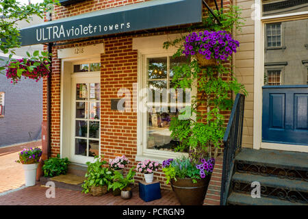 Ultra Violett Blumen, 1218 31 Street NW, Georgetown, Washington DC Stockfoto