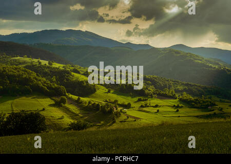 Felder im Sonnenlicht auf Berg in Serbien, Europa. Sommerabend. Stockfoto