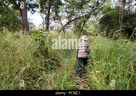 Der Weg in den Dschungel, die den Roten Khmer Tempel Prasat Neak Buos östlich der Stadt Sra-Em im Norden der Stadt Preah Vihear in Northwaest Kambodscha. Stockfoto